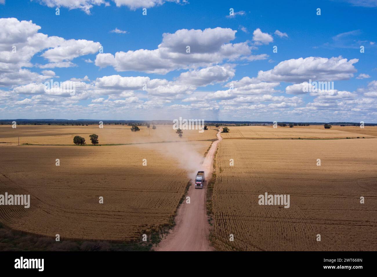 Treno aereo che porta il raccolto del grano al silo a Wallumbilla sulla Maranoa Queensland Australia Foto Stock