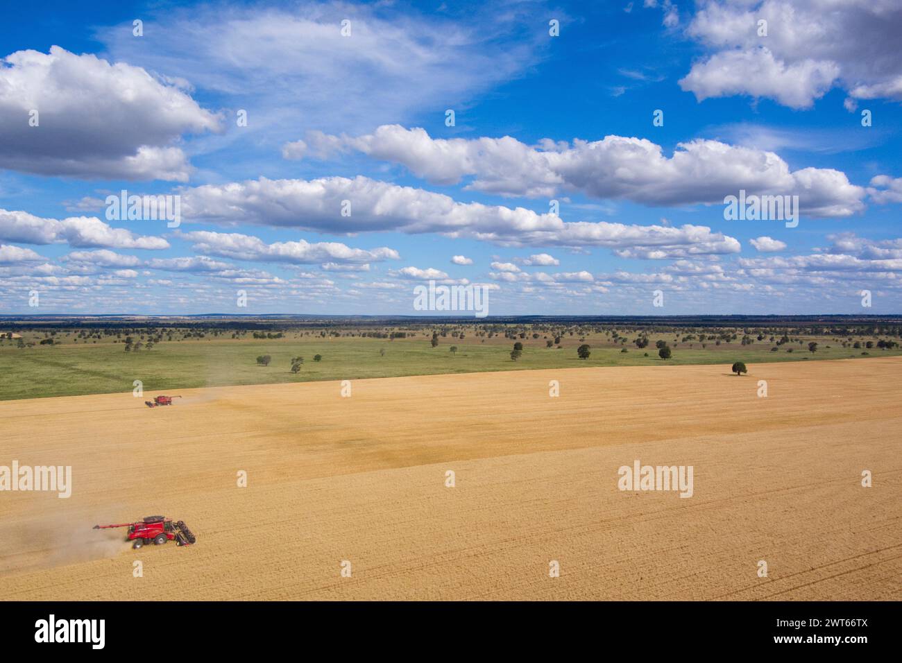 Antenna della mietitrebbiatrice per la raccolta del grano nei pressi di Wallumbilla sul Maranoa Queensland Australia Foto Stock