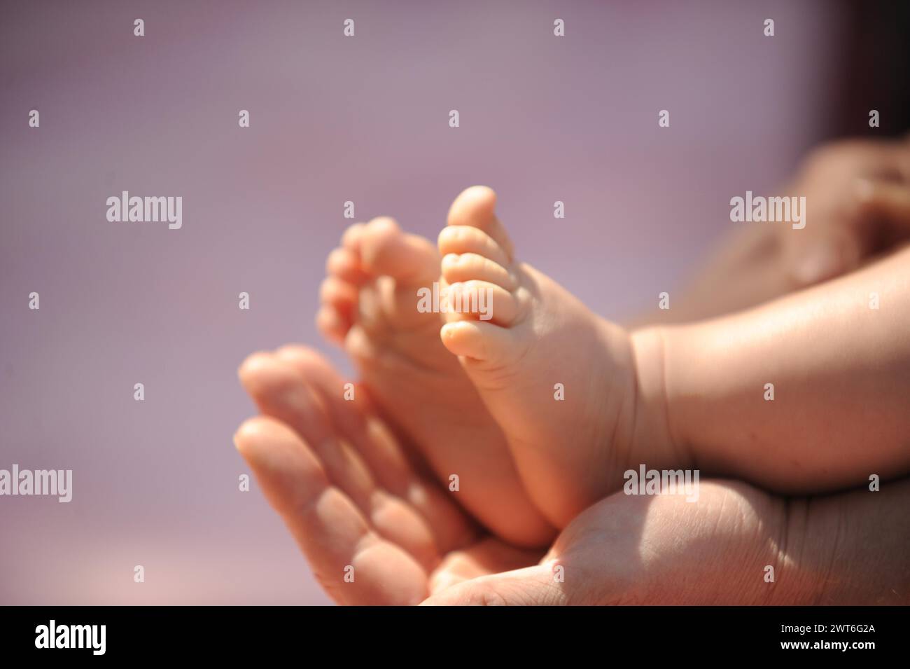 Eine Erwachsenenhand haelt liebevoll die Fuesse eines Babys, Bonn, Deutschland Foto Stock
