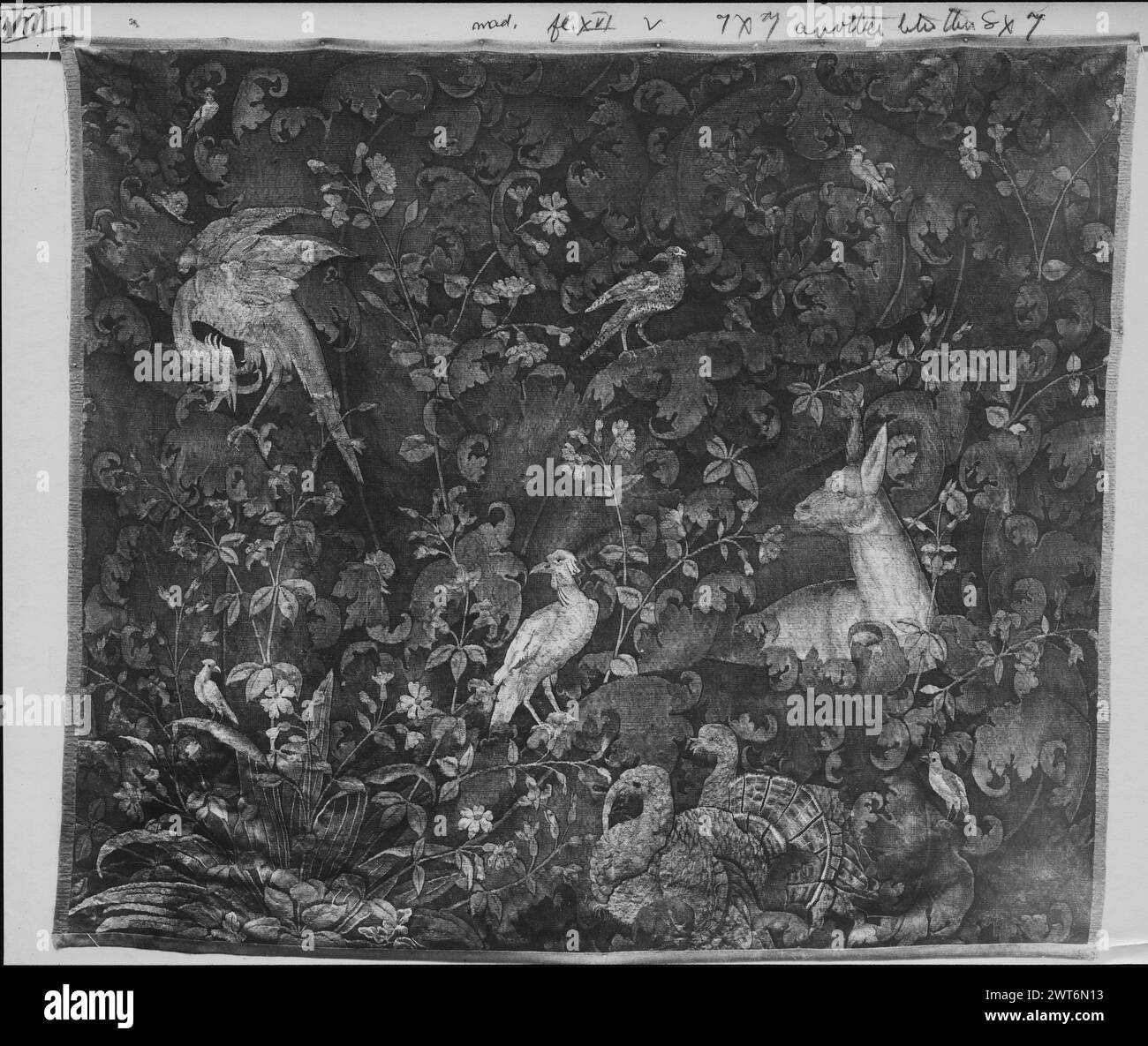 Verdure a foglia grande (feuille de choux) con cattivi e uccelli. Sconosciuto c. 1550-1600 arazzi materiali/tecniche: Sconosciuta Cultura: Proprietà fiamminga storia: Francia, Parigi, Parigi, Musée des Arts décoratifs. Doe, 2 tacchini e 5 altri uccelli nel verde, composti da piante fiorifere in mezzo a foglie simili ad acanto a scorrimento; pianta con grandi foglie appuntite in ammasso di vegetazione ai margini in basso a sinistra mancante. Foto Stock