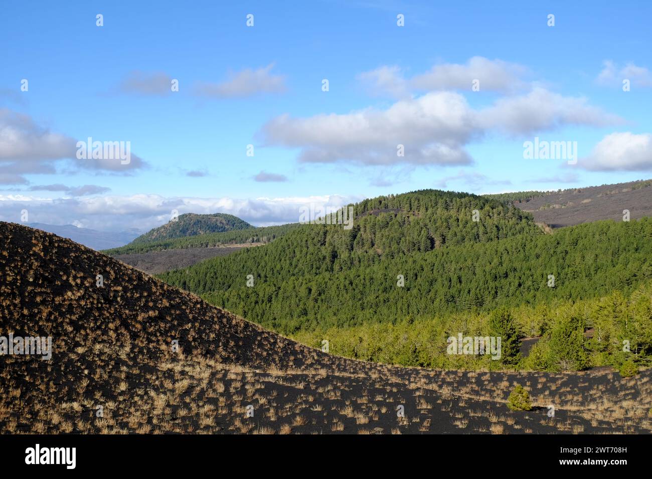 Boschi di 'Monte scavo' e 'Monte Maletto' nel Parco dell'Etna, Sicilia, Italia Foto Stock