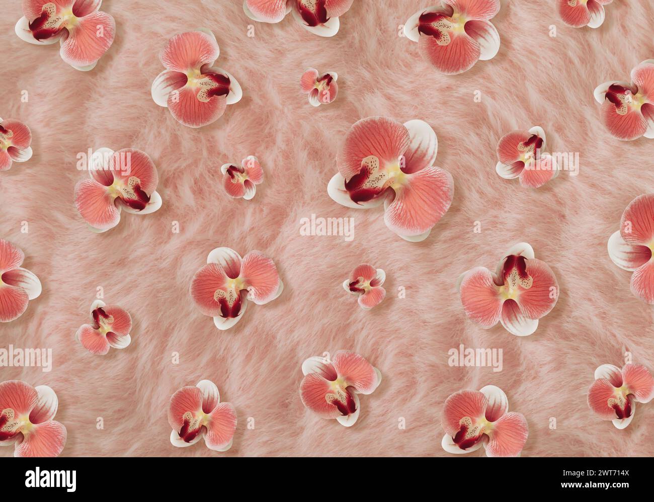 Composizione fantasia creativa e di tendenza realizzata con fiori di orchidea su sfondo rosa piccante o rosa rosa arancio finta pelliccia. Foto Stock