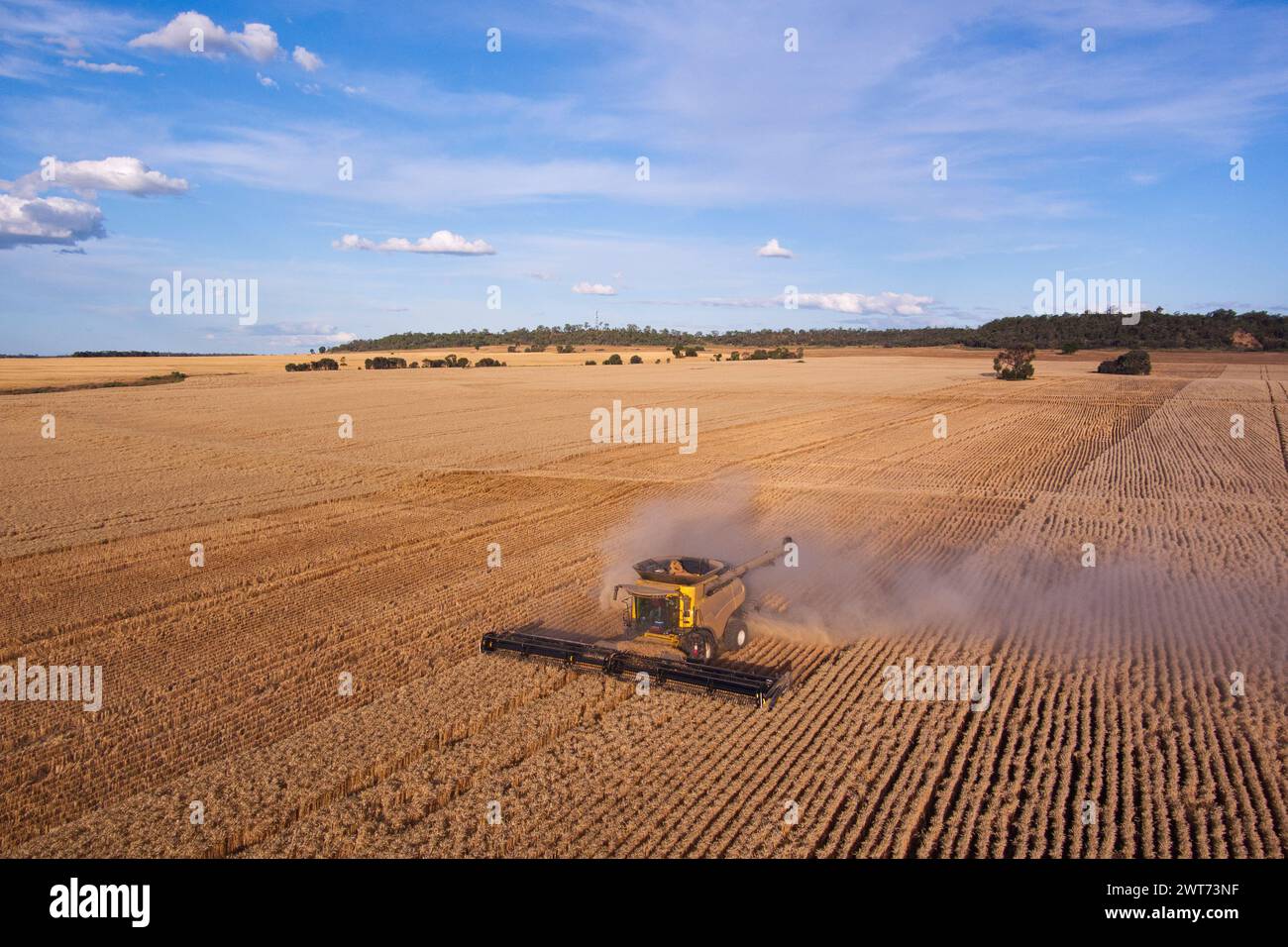 Antenna della mietitrebbiatrice per la raccolta del grano nei pressi di Wallumbilla sul Maranoa Queensland Australia Foto Stock