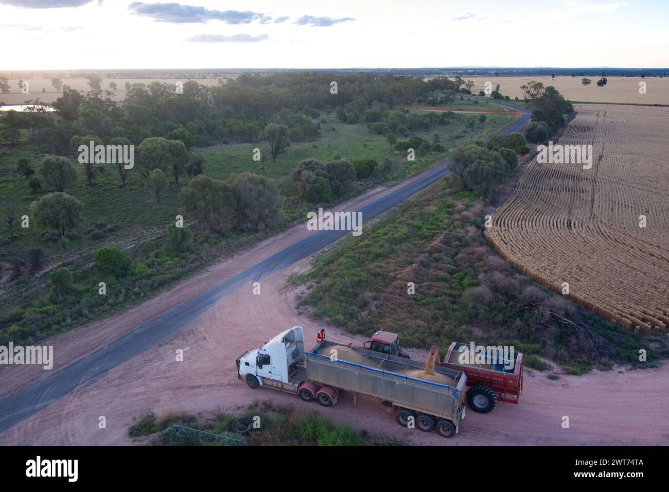 Antenna del cassonetto che scarica il grano raccolto su un camion per il trasporto verso Wallumbilla Maranoa Region Queensland Australia Foto Stock
