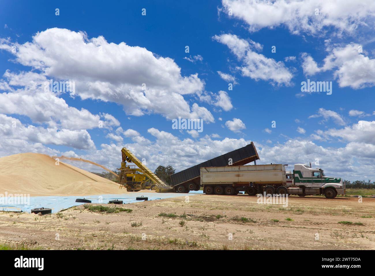 Deposito di grano nel deposito GrainCorp Wallumbilla Queensland Australia Foto Stock