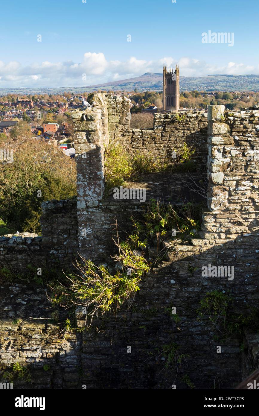 Vista dalla torre d'ingresso del castello di Ludlow alla città di Ludlow, Shropshire, Inghilterra. Novembre. Foto Stock