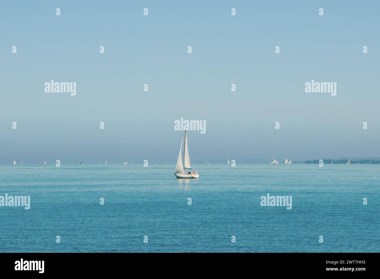 Piccola barca a vela bianca nel lago blu con molte altre barche lontane sullo sfondo. Yacht a vela con un albero in una giornata di sole nel grande lago. Blu acqua cielo blu Foto Stock