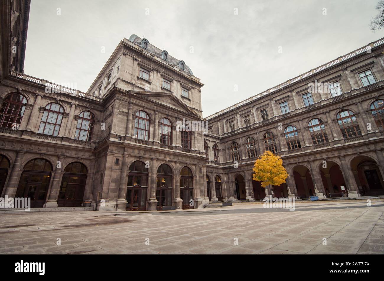 Il cortile dell'edificio principale dell'Università di Vienna. Edificio del tardo XIX secolo in stile rinascimentale italiano. L'albero a foglia dorata solitario da parte. Foto Stock
