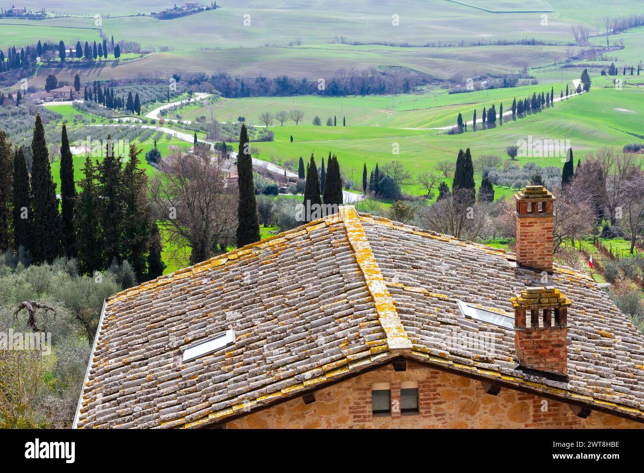 Splendido paesaggio delle verdi colline toscane nella pittoresca Val d'Orcia, vicino a Siena e Firenze, con cipressi, campi e dolci colline. Foto Stock
