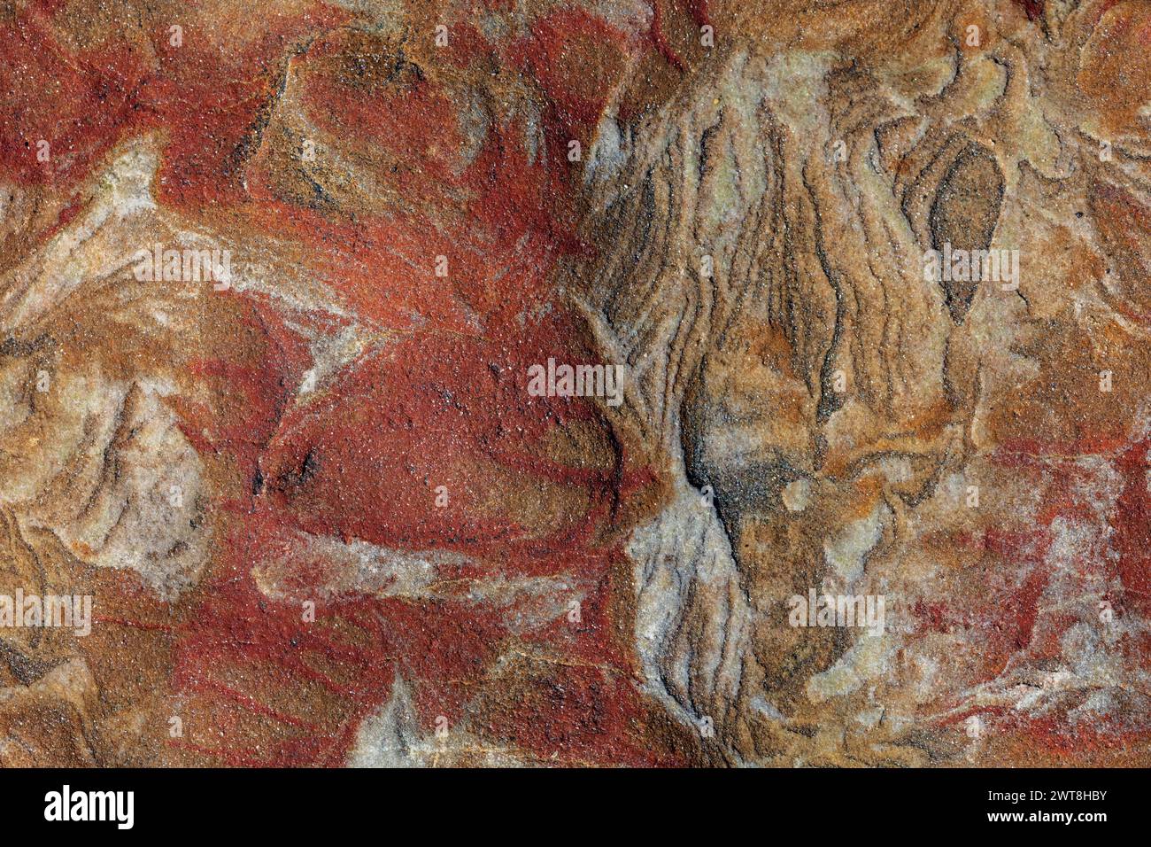 Splendide fotografie artistiche ad alta risoluzione di rocce rosse e sabbiose provenienti da Fife in Scozia, possono essere utilizzate come sfondo o immagine Foto Stock