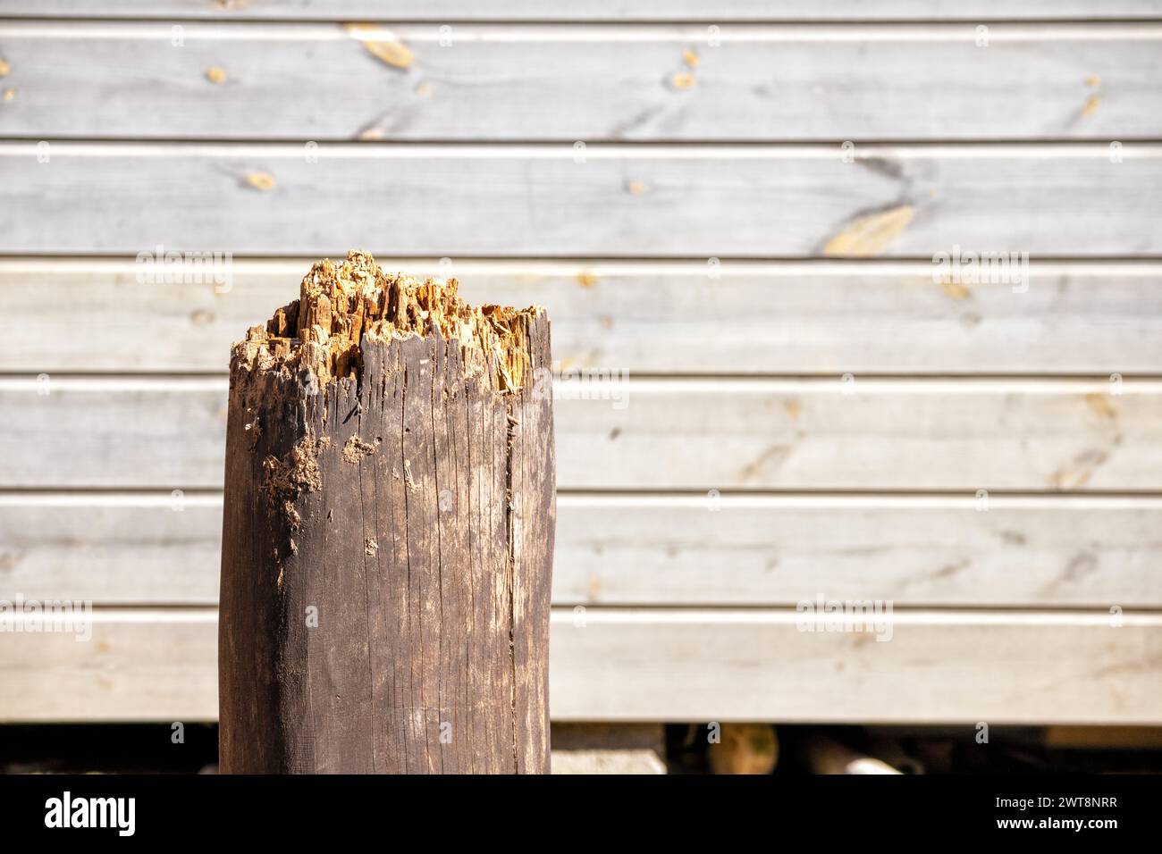 Un palo di legno rotto contro un muro di lavagne Foto Stock