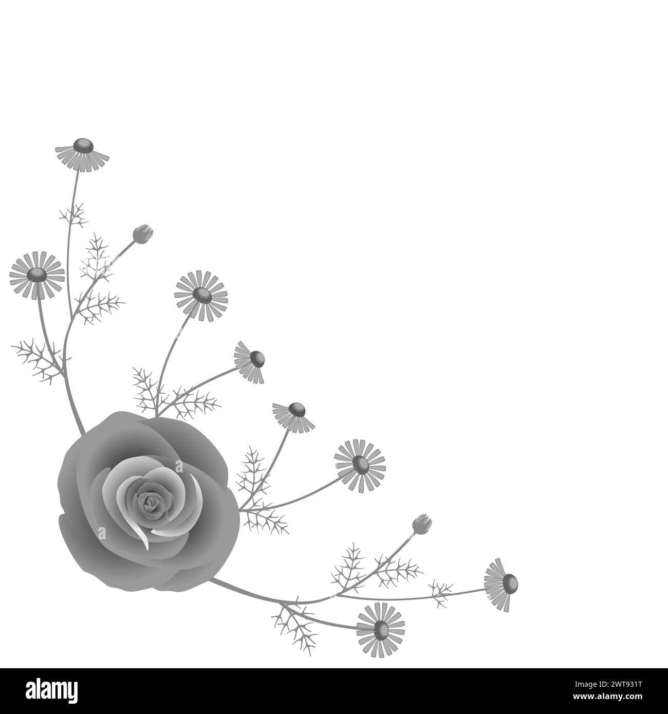 Composizione angolare con rosa e rami su sfondo bianco. Illustrazione Vettoriale