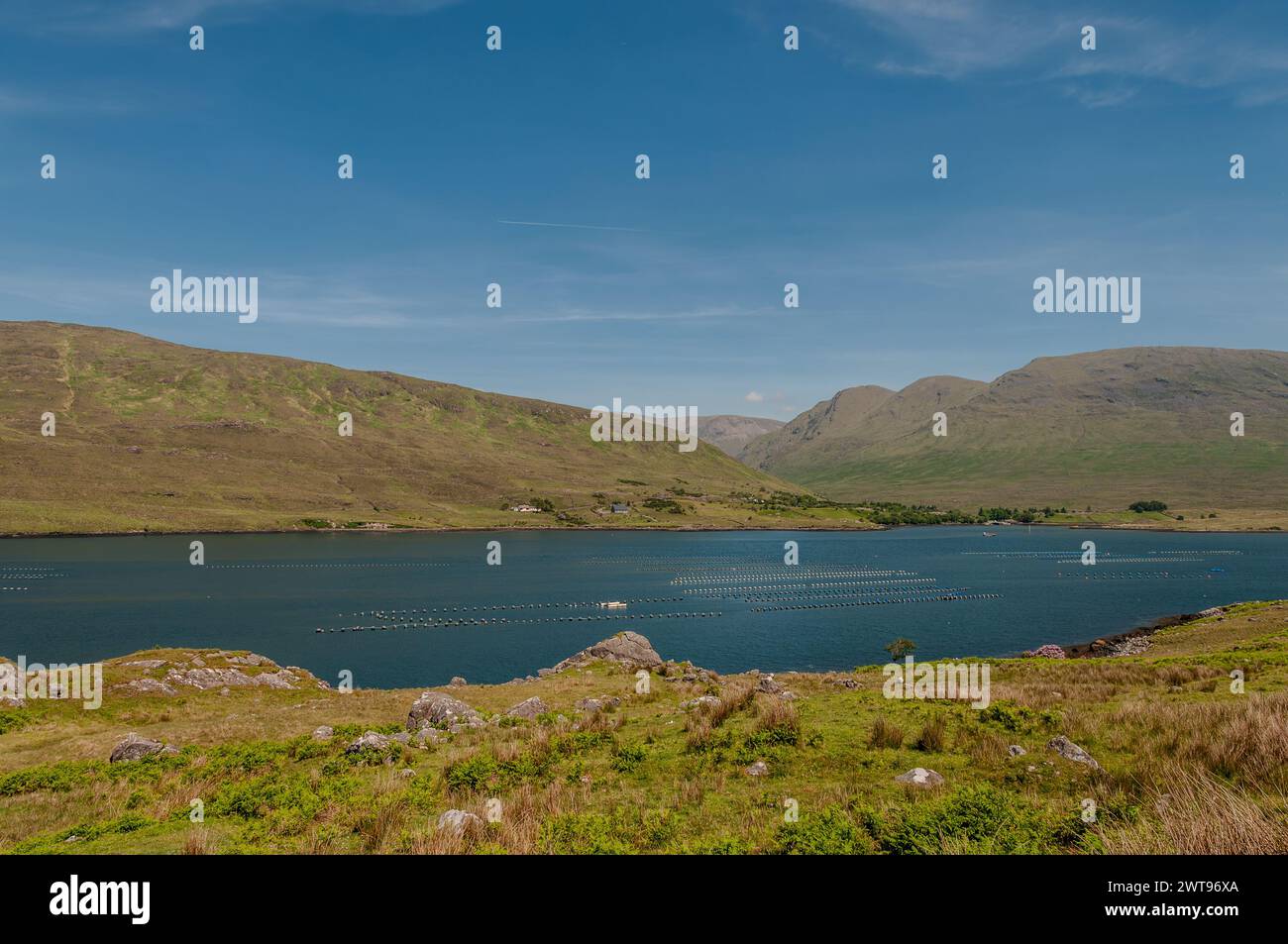 Area naturale protetta dell'Irlanda occidentale caratterizzata da suggestive montagne (catena montuosa delle dodici Cime), distese di torbiere, praterie Foto Stock