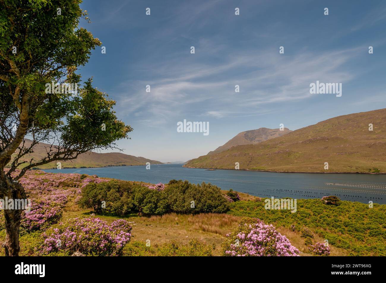 Area naturale protetta dell'Irlanda occidentale caratterizzata da suggestive montagne (catena montuosa delle dodici Cime), distese di torbiere, praterie Foto Stock