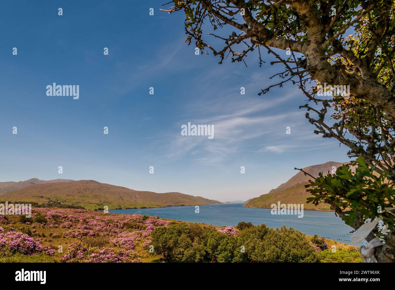 Area naturale protetta dell'Irlanda occidentale caratterizzata da suggestive montagne (catena montuosa delle dodici Cime), distese di torbiere, praterie Foto Stock