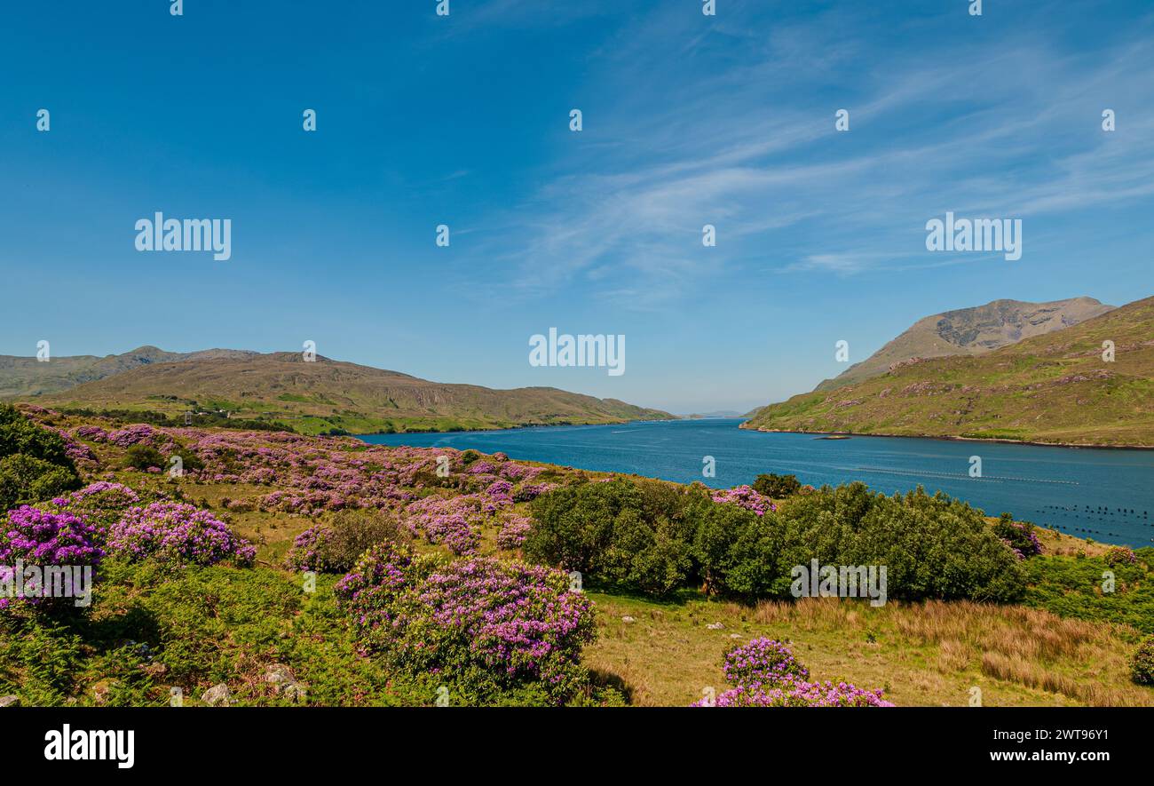 Area naturale protetta dell'Irlanda occidentale caratterizzata da suggestive montagne (catena montuosa delle dodici Cime), distese di torbiere, praterie Foto Stock