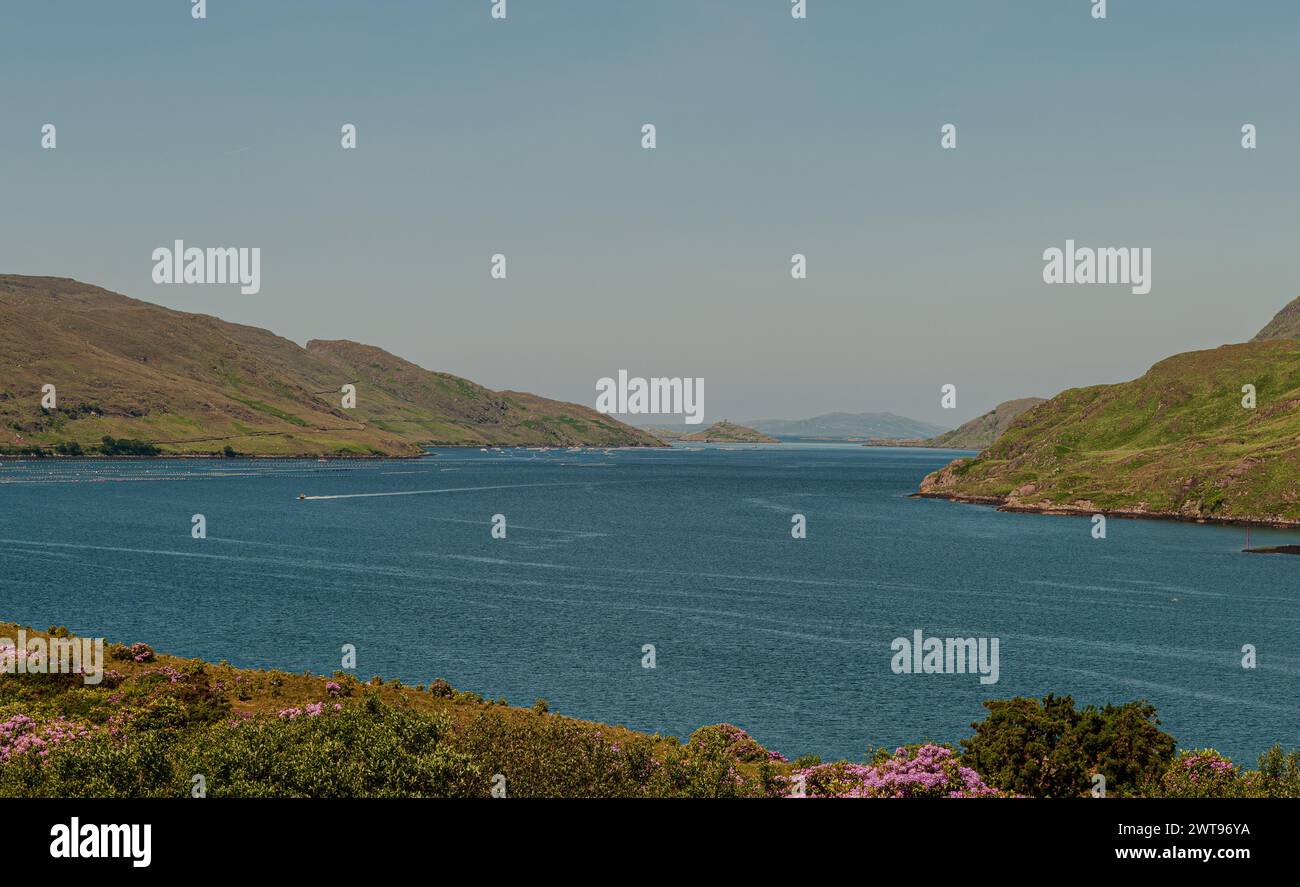 Area naturale protetta dell'Irlanda occidentale caratterizzata da suggestive montagne (catena montuosa delle dodici Cime), distese di torbiere, praterie Foto Stock