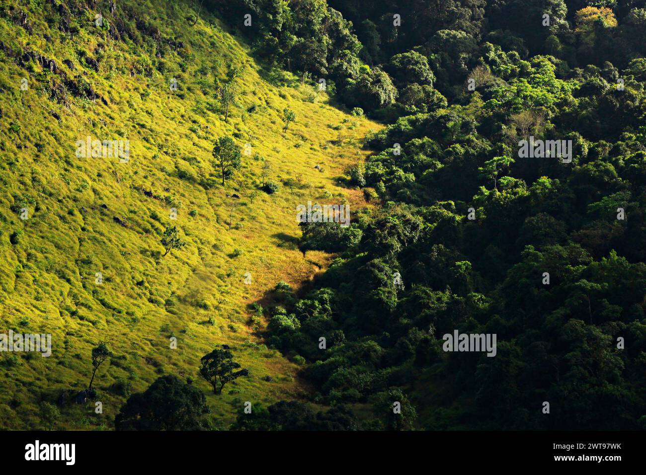 Natura e vedute panoramiche del Monte Doi Luang Chiang Dao nella riserva naturale di Chiang Dao Provincia di Chiang mai, Thailandia Foto Stock