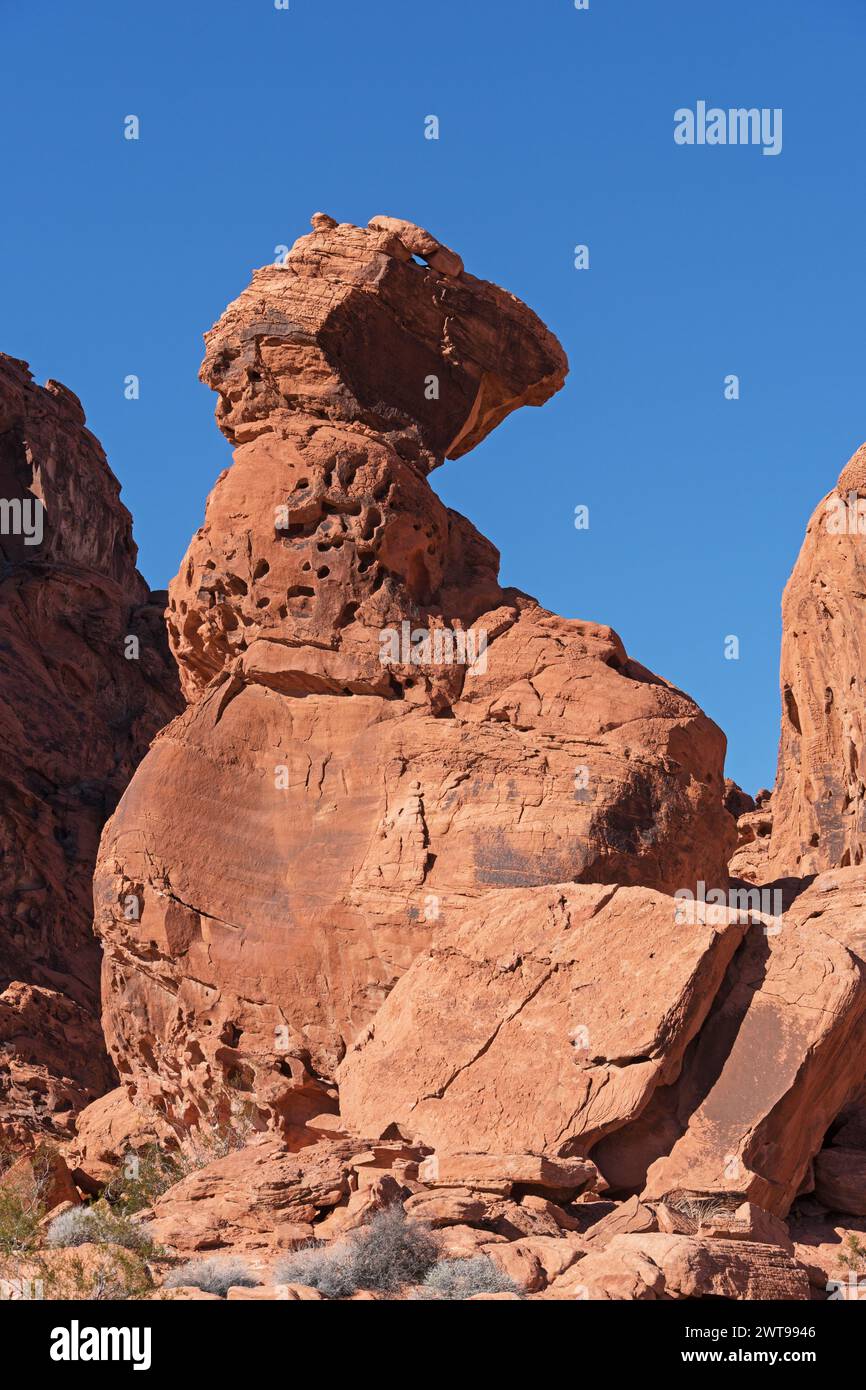 Immagine verticale della formazione rocciosa bilanciata nel Valley of Fire State Park in Nevada Foto Stock
