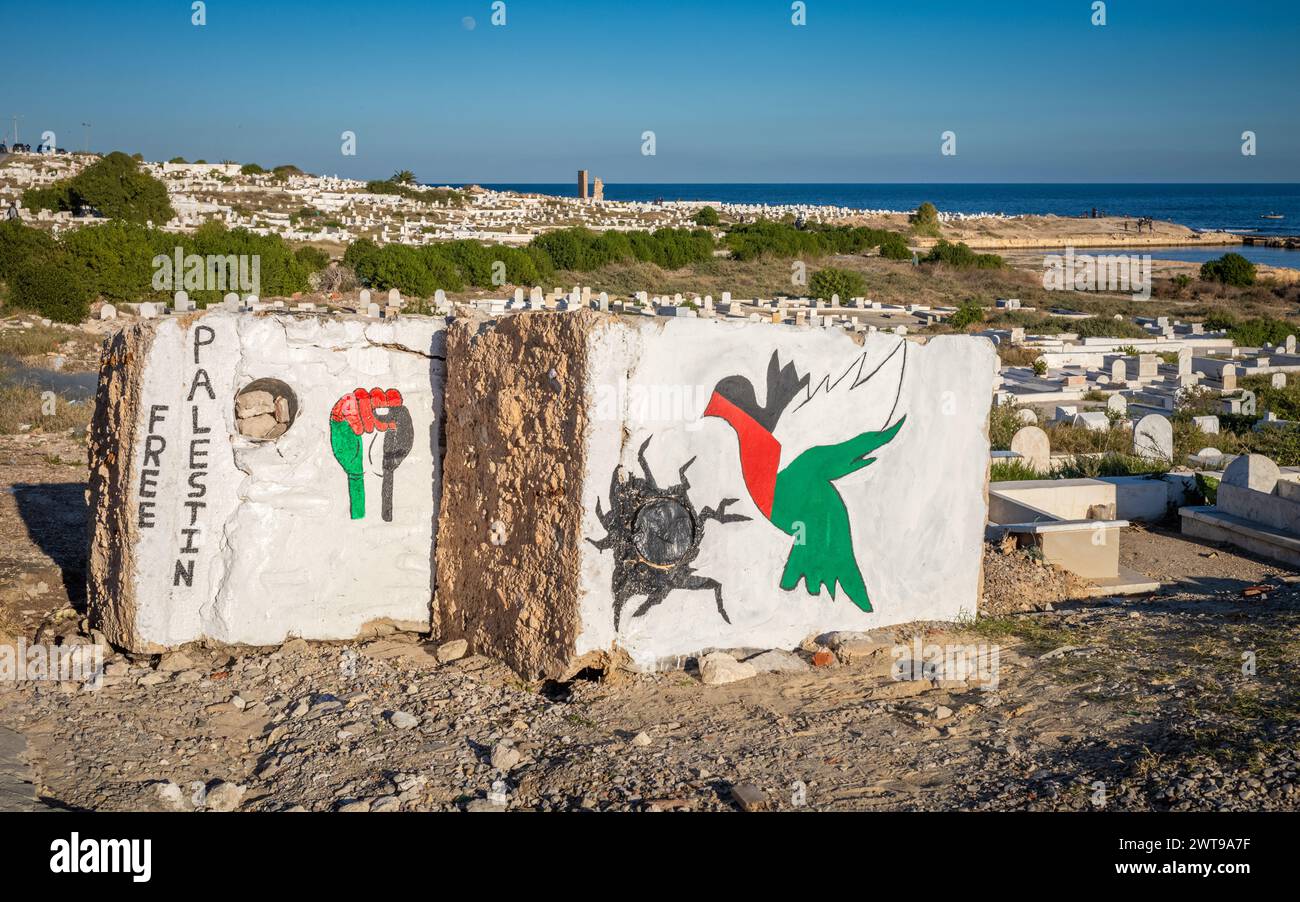 Le parole "Palestina libera”, un pugno serrato e una colomba di colori palestinesi dipinte su rocce al cimitero marittimo di Mahdia, in Tunisia. Foto Stock