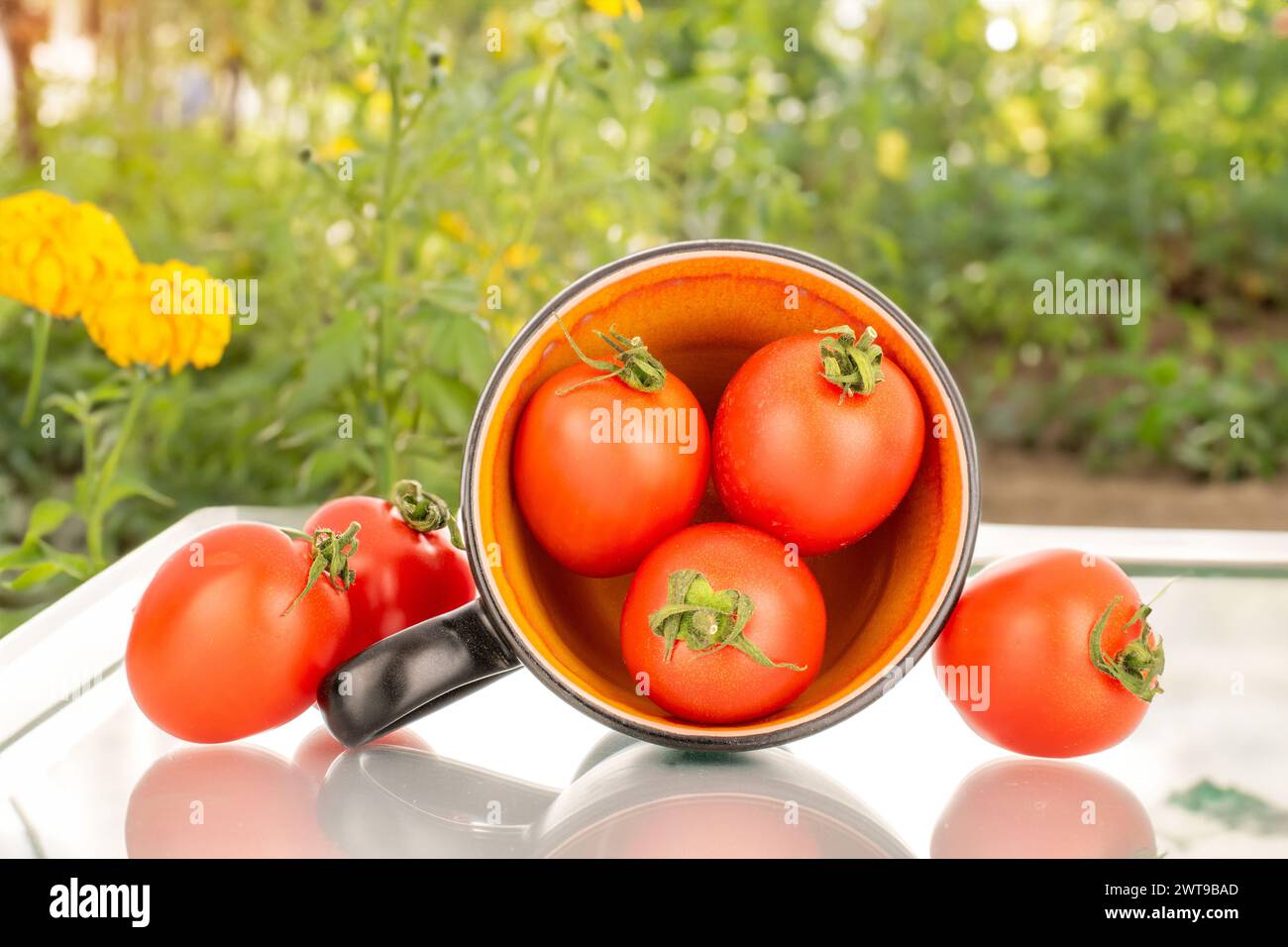 Diversi pomodori da cocktail maturi con tazza in ceramica, macro, sullo sfondo del giardino Foto Stock