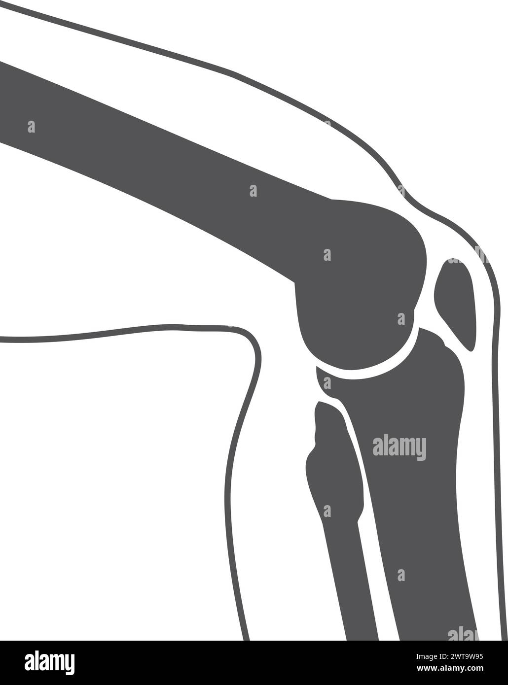 Sagoma nera articolazione ginocchio umano. Illustrazione dell'anatomia Illustrazione Vettoriale
