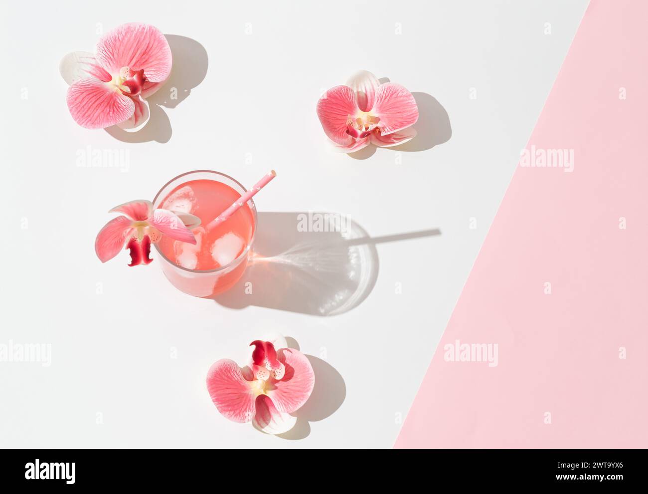 Scena estiva con bevanda rinfrescante tropicale rosa e fiori di orchidea su sfondo bianco e rosa. Sole e ombre. Concetto di cocktail minimale. Foto Stock