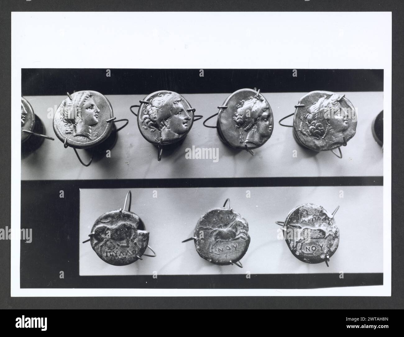 Abruzzo Chieti Chieti Museo Nazionale di Antichita82. Hutzel, Max 1960-1990 Vista esterna di parte dell'ex Villa Frigeri, che insieme ad un vicino palazzo, ospita il Museo Nazionale di Antichita. Viste anche dei giardini, della fontana (XVII secolo) e degli interni restaurati. Il cosiddetto "Guerriero di Capestrano" (V secolo a.C.) si trova nella collezione di antichità sotto uomini, giovani, Guerrieri--pietra--Etruschi, Italiani. Le vedute di Hutzel includono statue, monumenti funerari, busti ritratti e mosaici, molti dei quali sono stati scavati da Alba Fucens. Hutzel ha prestato particolare attenzione Foto Stock