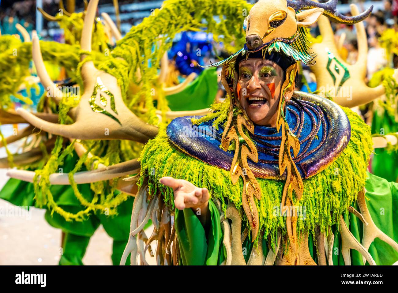 Una donna locale in costume prende parte all'annuale Carnaval del Pais, Gualeguaychu, provincia di Entre Rios, Argentina. Foto Stock