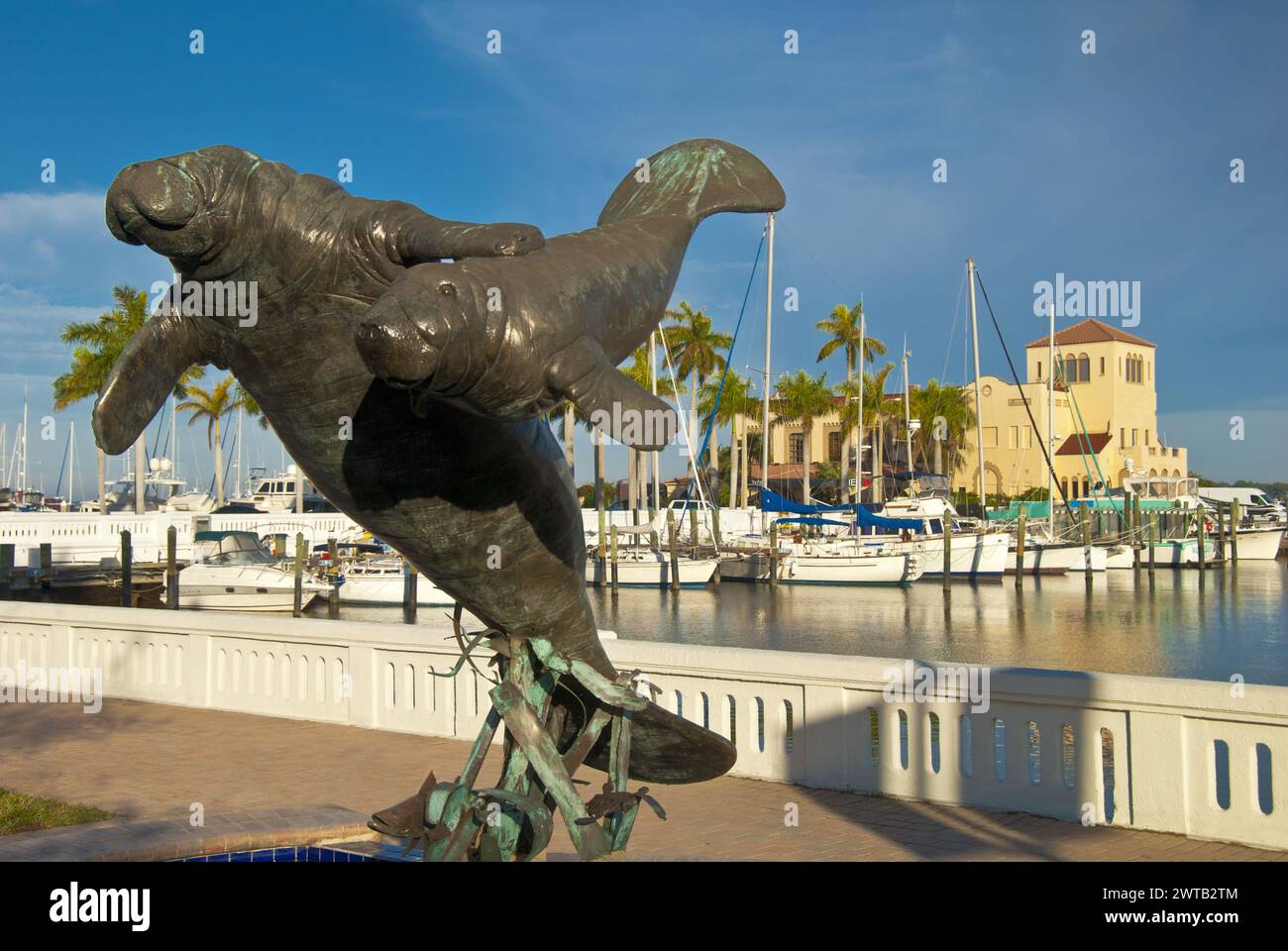 Statua del lamantino sul lungofiume vicino al porticciolo dei delfini gemelli sul fiume Manatee nel centro di Bradenton, Florida Foto Stock