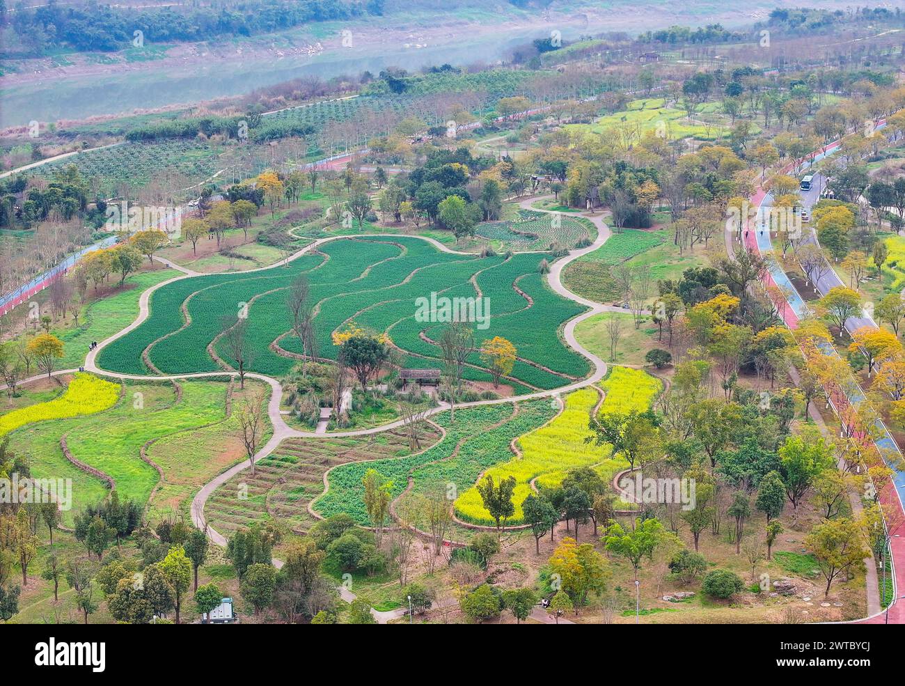 (240317) -- CHONGQING, 17 marzo 2024 (Xinhua) -- una foto aerea con un drone mostra una vista dell'isola di Guangyang nel sud-ovest della Cina, Chongqing, 16 marzo 2024. L'isola di Guangyang, la più estesa isola verde nel corso superiore del fiume Yangtze, è stata trasformata in una "aula" di restauro ecologico e protezione per ecoturisti e bambini delle scuole. L'ecosistema locale e la biodiversità erano un tempo seriamente minacciati a causa di progetti immobiliari nella zona. Tuttavia, il governo locale ha bloccato progetti dannosi di questo tipo nel 2017, iniziando il ripristino dell'ambiente sull'i Foto Stock