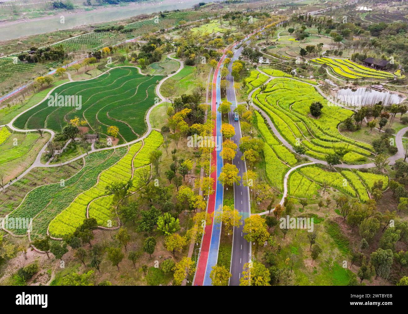 (240317) -- CHONGQING, 17 marzo 2024 (Xinhua) -- una foto aerea con un drone mostra una vista dell'isola di Guangyang nel sud-ovest della Cina, Chongqing, 16 marzo 2024. L'isola di Guangyang, la più estesa isola verde nel corso superiore del fiume Yangtze, è stata trasformata in una "aula" di restauro ecologico e protezione per ecoturisti e bambini delle scuole. L'ecosistema locale e la biodiversità erano un tempo seriamente minacciati a causa di progetti immobiliari nella zona. Tuttavia, il governo locale ha bloccato progetti dannosi di questo tipo nel 2017, iniziando il ripristino dell'ambiente sull'i Foto Stock