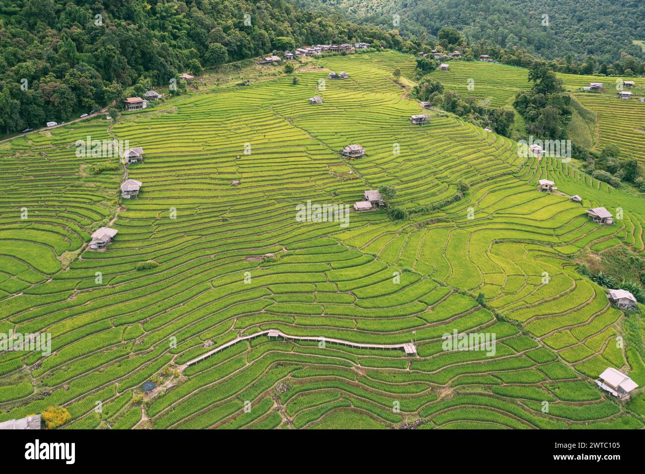 Vedute aeree di una piccola casa e del campo di risaie a terrazze presso le terrazze di riso del villaggio di pabongpaing Mae-Jam Chiang mai, Thailandia. Il punto di vista del viaggio. Riso Foto Stock