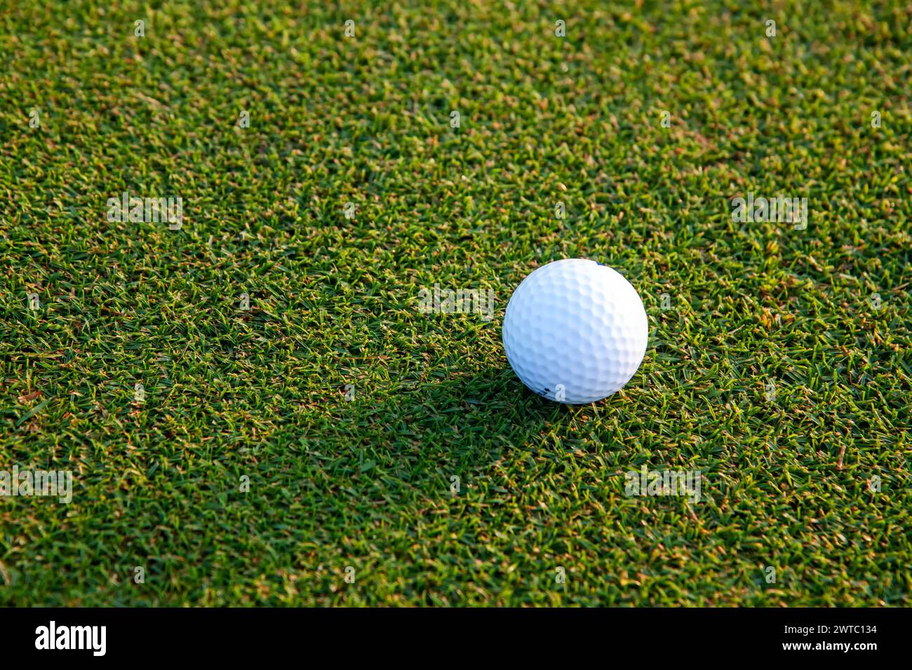 Palla da golf su un prato verde nel campo da golf. Sport che le persone di tutto il mondo giocano durante le vacanze per la salute. Foto Stock