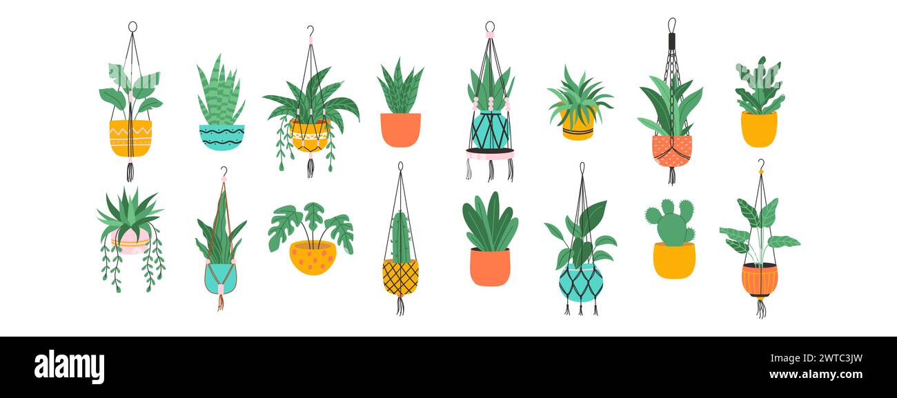 Piante in vasi appesi. Set di vasi di fiori per la casa. Illustrazione vettoriale. Illustrazione Vettoriale