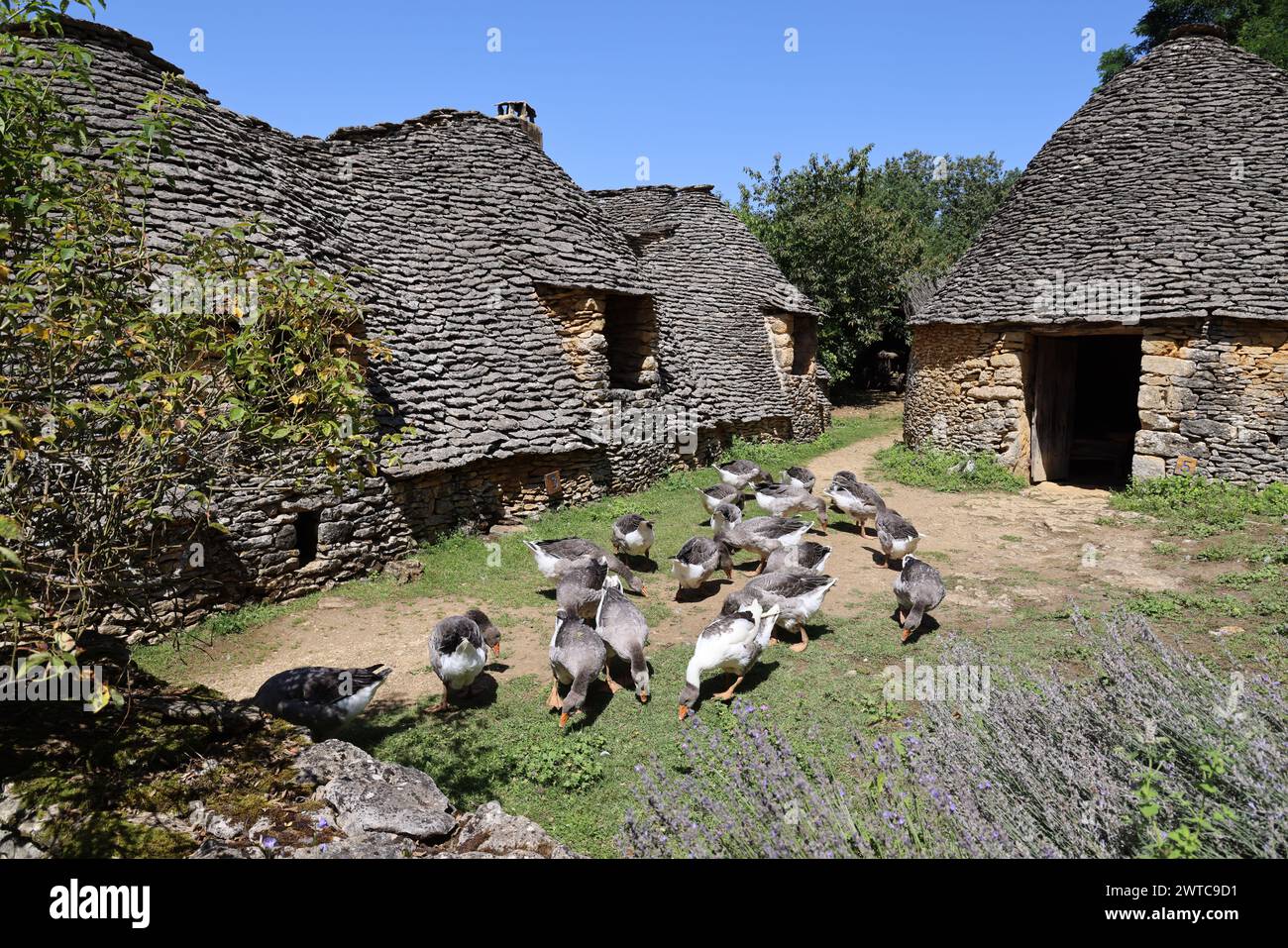 I “Cabanes du Breuil”, ex annessi agricoli di un’azienda agricola situata a Saint-André-d’Allas nel Périgord Noir, nel sud-ovest della Francia. Questi costruiscono Foto Stock