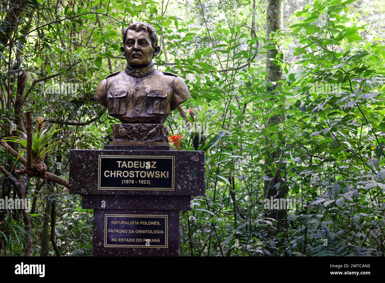 Foz do Iguazú, Brasile. 19 gennaio 2024. Il Parque das Aves (parco ornitologico) di Foz do Iguazú, Brasile, ospita più di 1.300 uccelli. Foto Stock