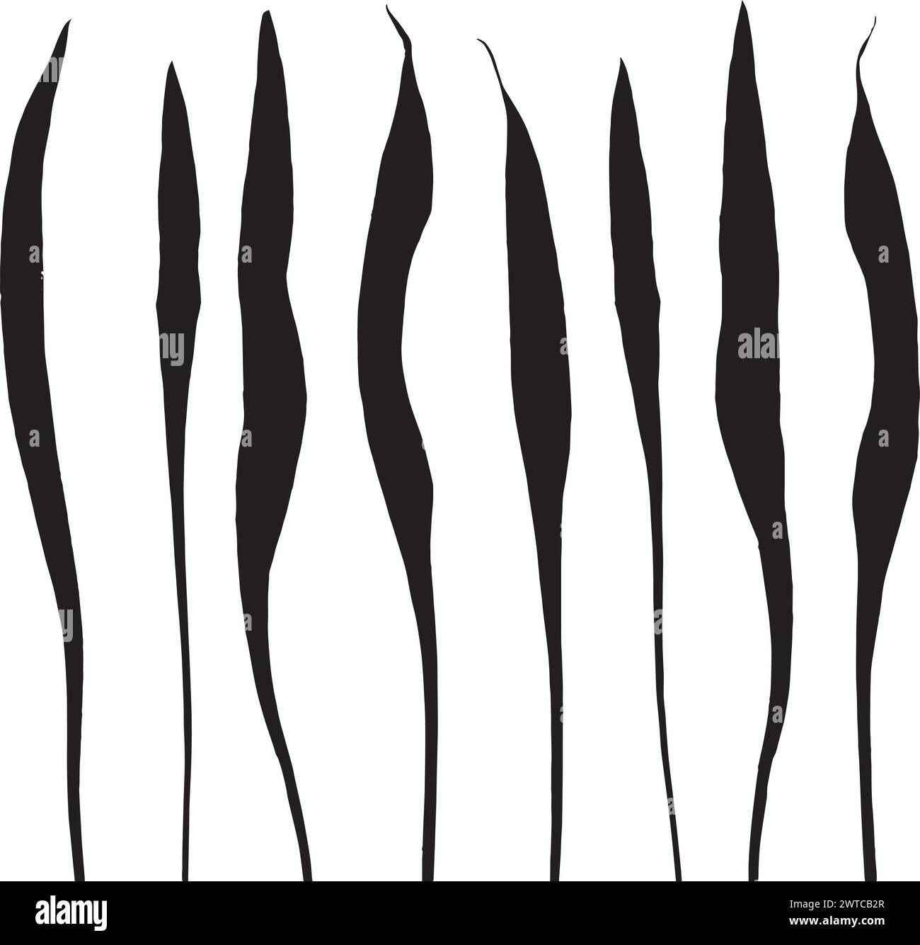 Foglie di erbario, illustrazione vettoriale di un erbario. Illustrazione Vettoriale