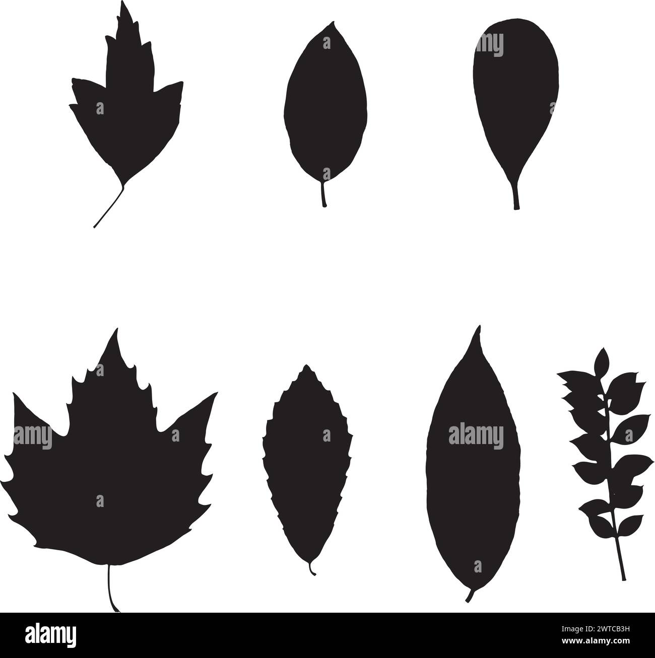 Foglie di erbario, illustrazione vettoriale di un erbario. Illustrazione Vettoriale