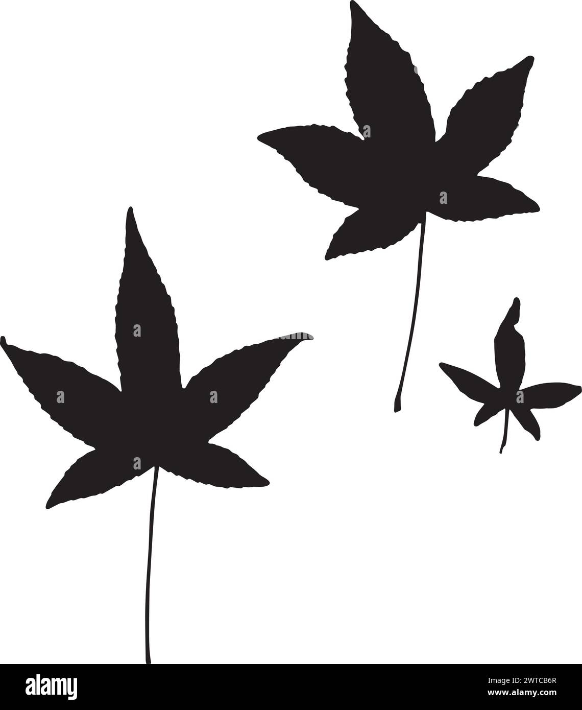 Foglie di erbario, illustrazione vettoriale di un erbario. Illustrazione Vettoriale