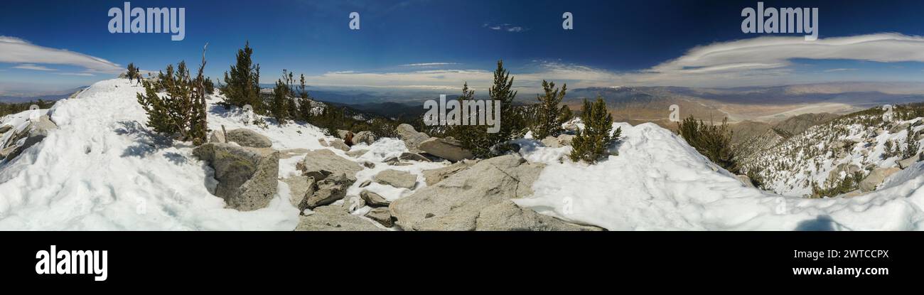 Vista panoramica di una montagna innevata con pini. Il cielo è limpido e blu, e il terreno innevato dona alla scena un bancomat tranquillo e sereno Foto Stock