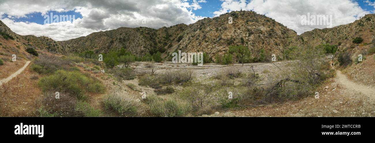 Un'ampia immagine di un paesaggio desertico con una strada sterrata che lo attraversa. La strada è circondata da erba alta e cespugli, e ci sono alcuni alberi scat Foto Stock