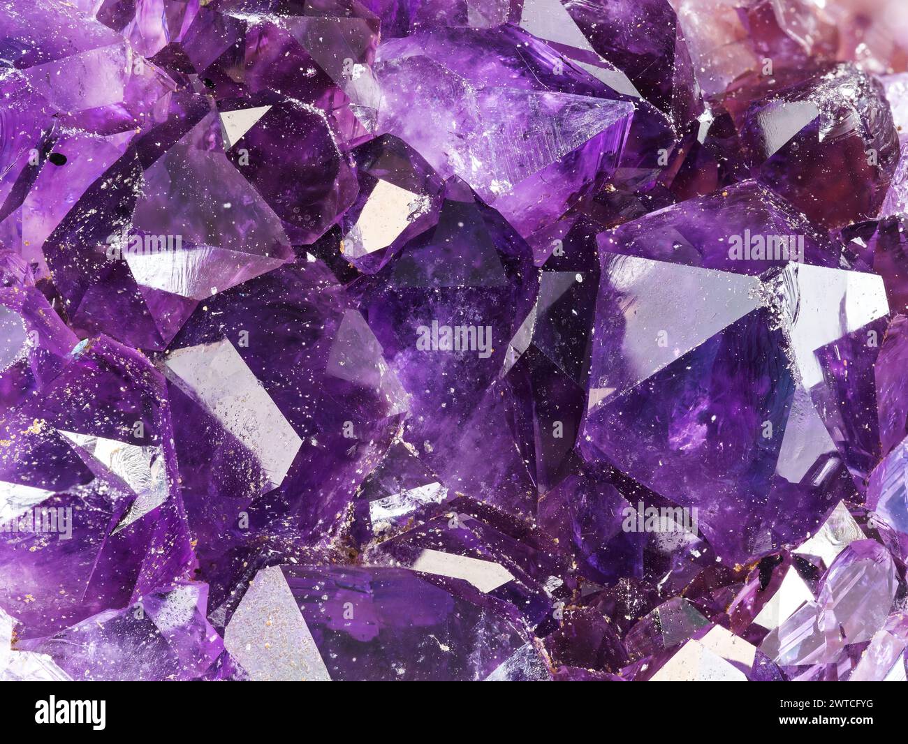 sfondo geologico - cristalli di ametista grezzi nel primo piano naturale del geode Foto Stock