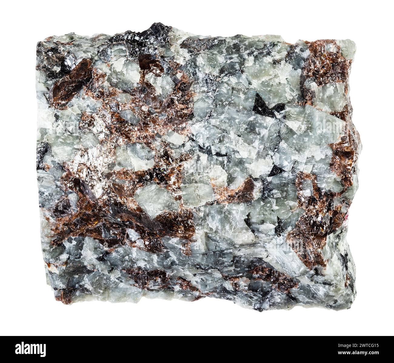 campione di roccia khibinite grezza naturale su sfondo bianco Foto Stock