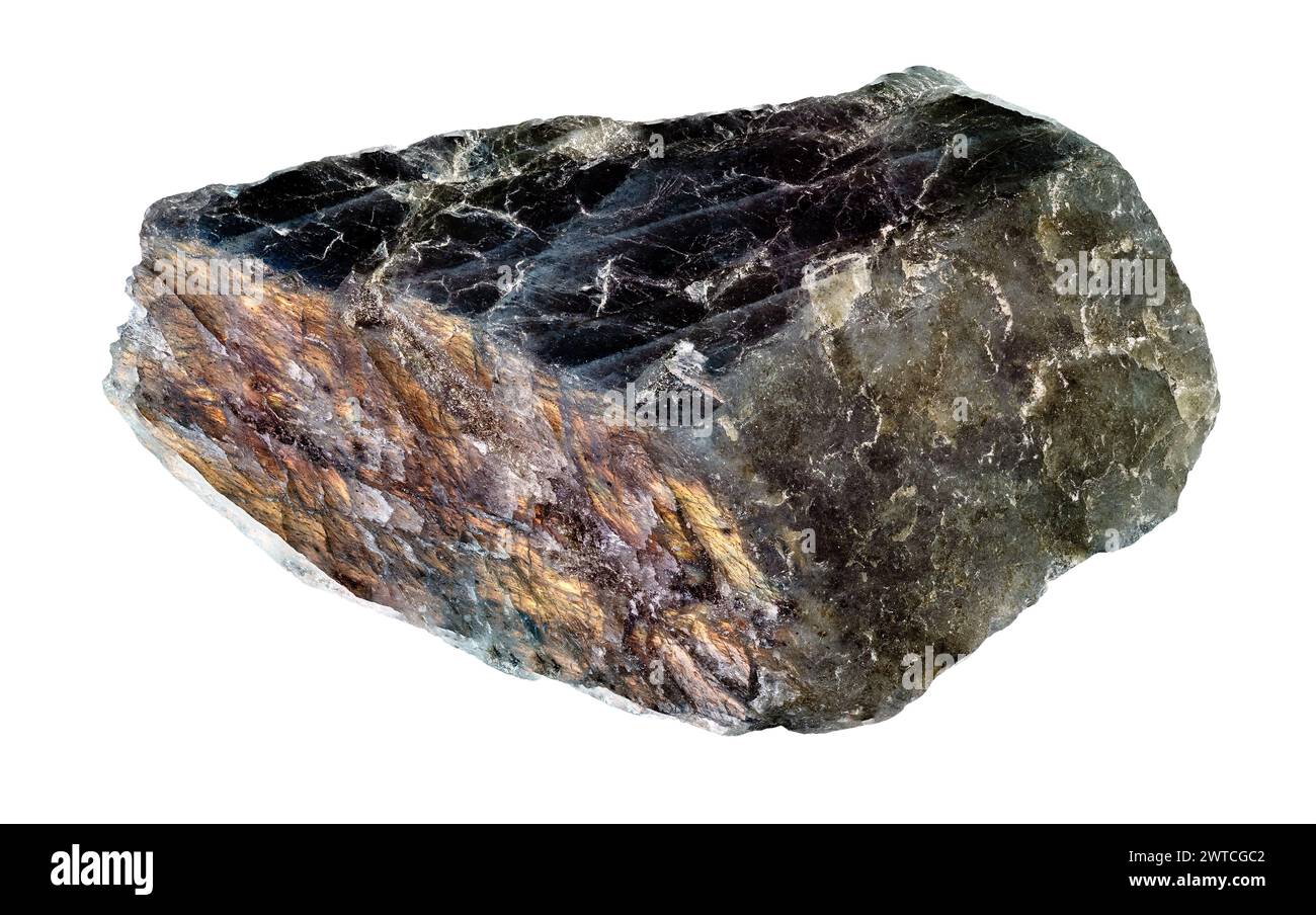 campione di roccia grezza di labradorite nera naturale su sfondo bianco Foto Stock