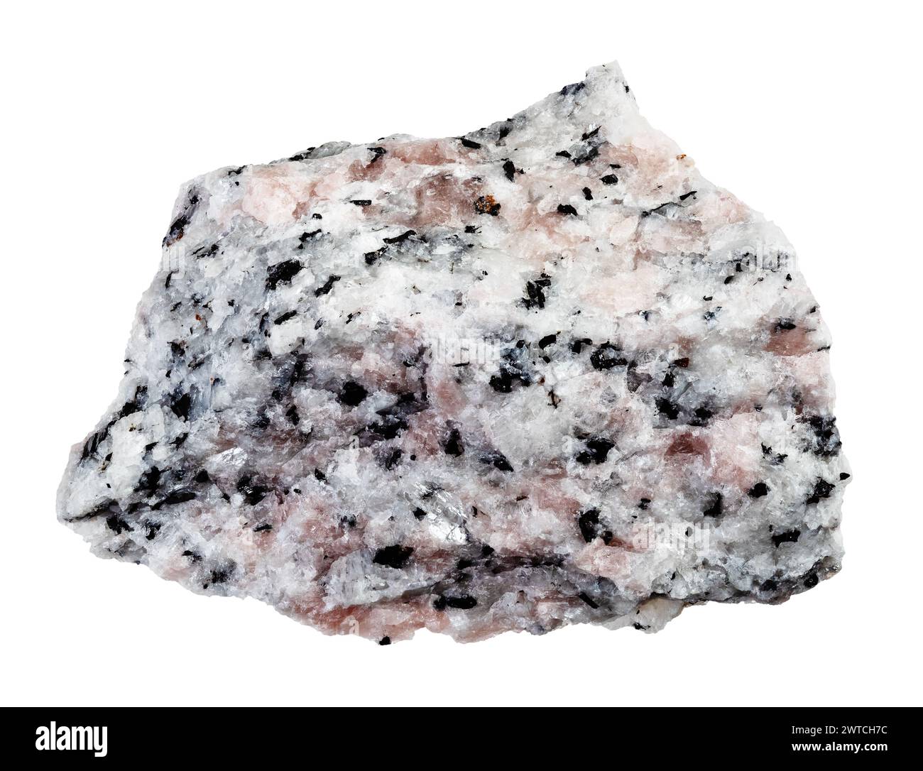 campione di miaskite grezza naturale con ritaglio di roccia di cancrinite rosa su sfondo bianco Foto Stock