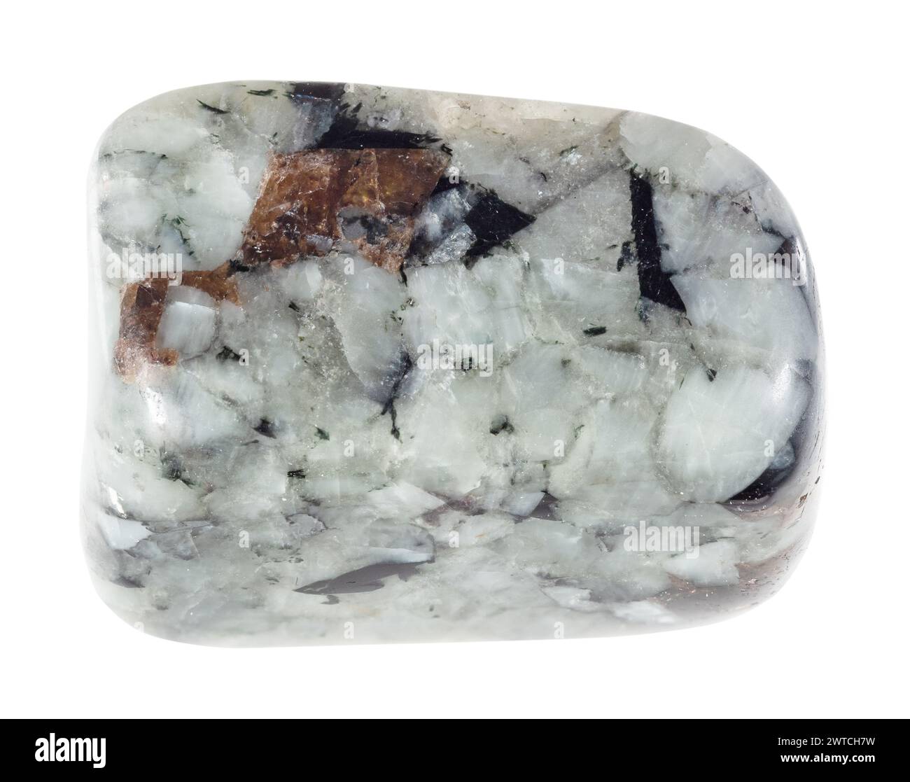 campione di roccia khibinite tumulata naturale su sfondo bianco Foto Stock