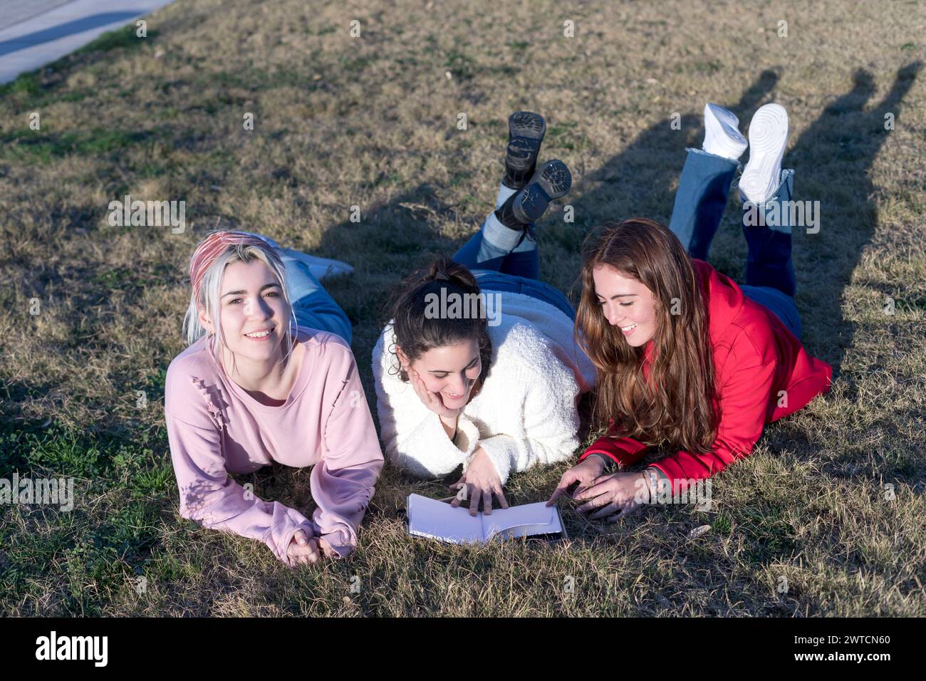 Distesi sull'erba, tre amici ridono insieme alla luce del sole; uno tiene un libro, irradiando felicità e relax in un ambiente all'aperto Foto Stock