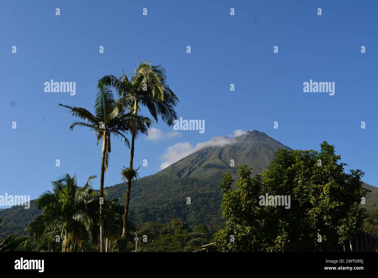 Varie persone coinvolte in attività sulla spiaggia del Costa Rica Foto Stock