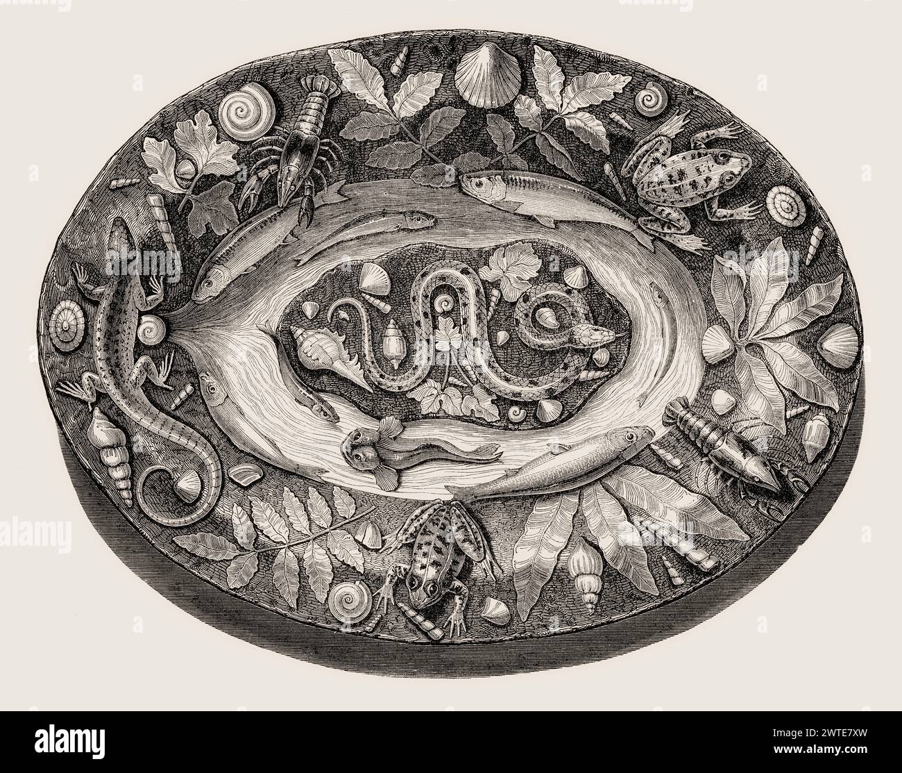 Vassoio di rusticware di Bernard Palissy, vasaio ugonotto francese, XVI secolo Foto Stock
